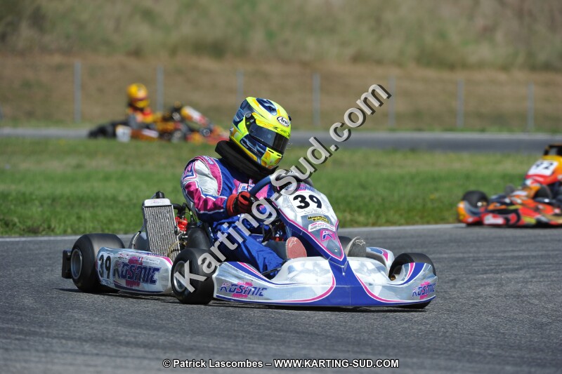 DSC_ (1379).JPG